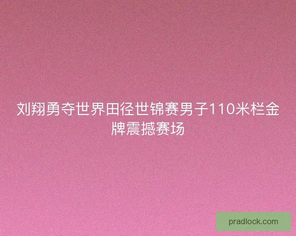 刘翔勇夺世界田径世锦赛男子110米栏金牌震撼赛场 刘翔勇夺世界田径世锦赛男子110米栏金牌震撼赛场