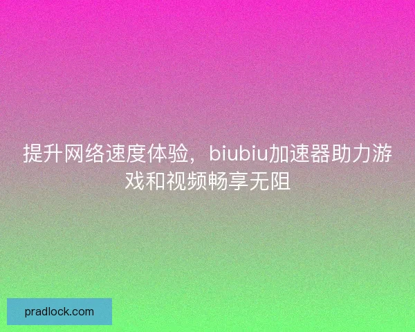 提升网络速度体验，biubiu加速器助力游戏和视频畅享无阻