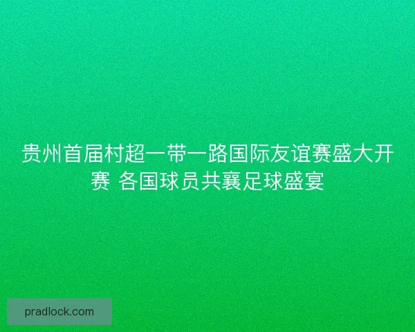 贵州首届村超一带一路国际友谊赛盛大开赛 各国球员共襄足球盛宴